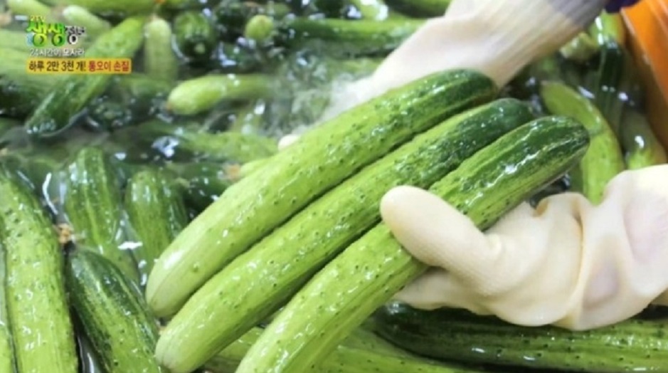 극한직업-여름김치-파주-도미솔김치