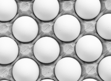 에그마요 샌드위치