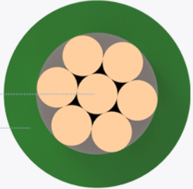 녹색원안에-주황색원이-일곱개가-그려져있다