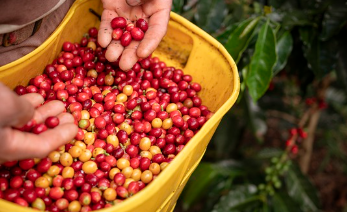 인공지능과 농업