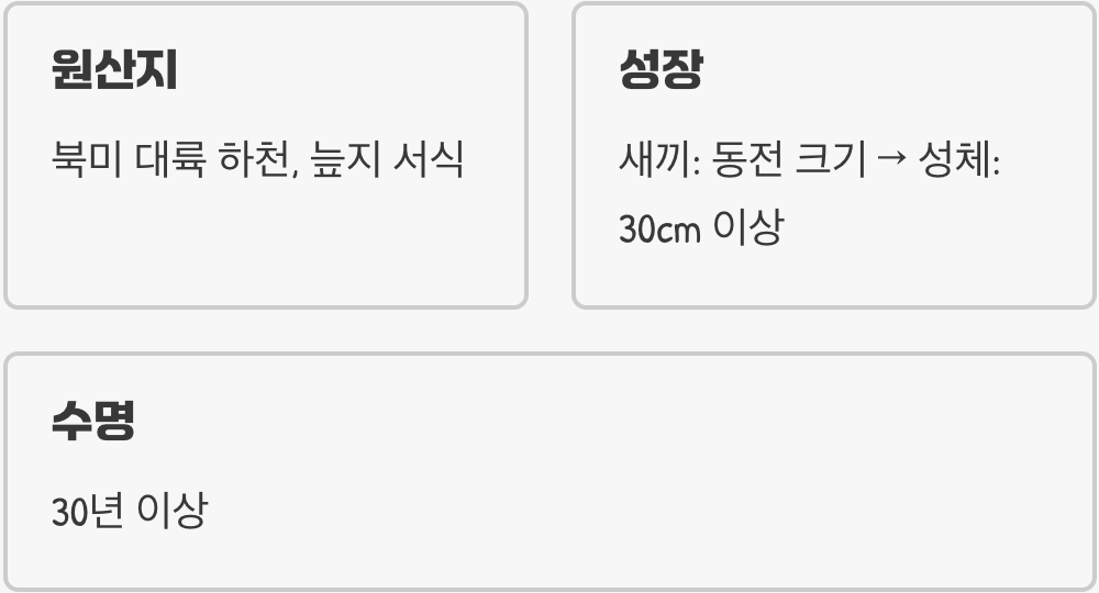 물속의 작은 폭군&amp;#44; 늑대거북