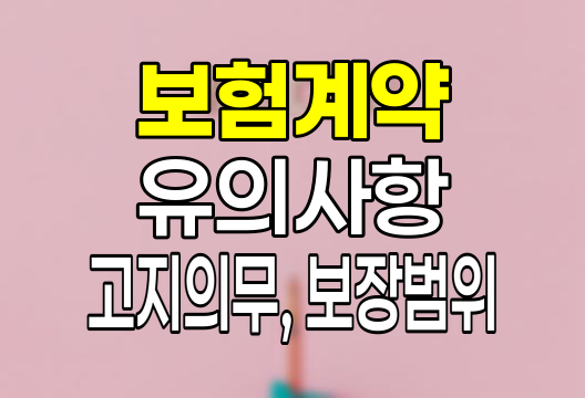 보험 계약의 핵심 포인트, 알아두면 유익한 주의사항