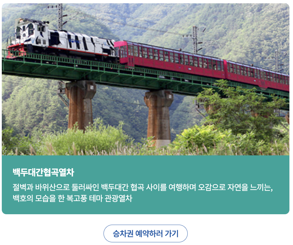 백두대간 협곡 열차 예매