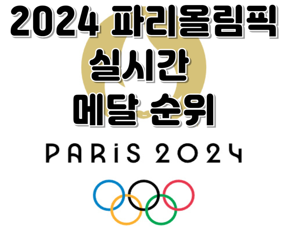 2024 파리올림픽 실시간 메달 순위