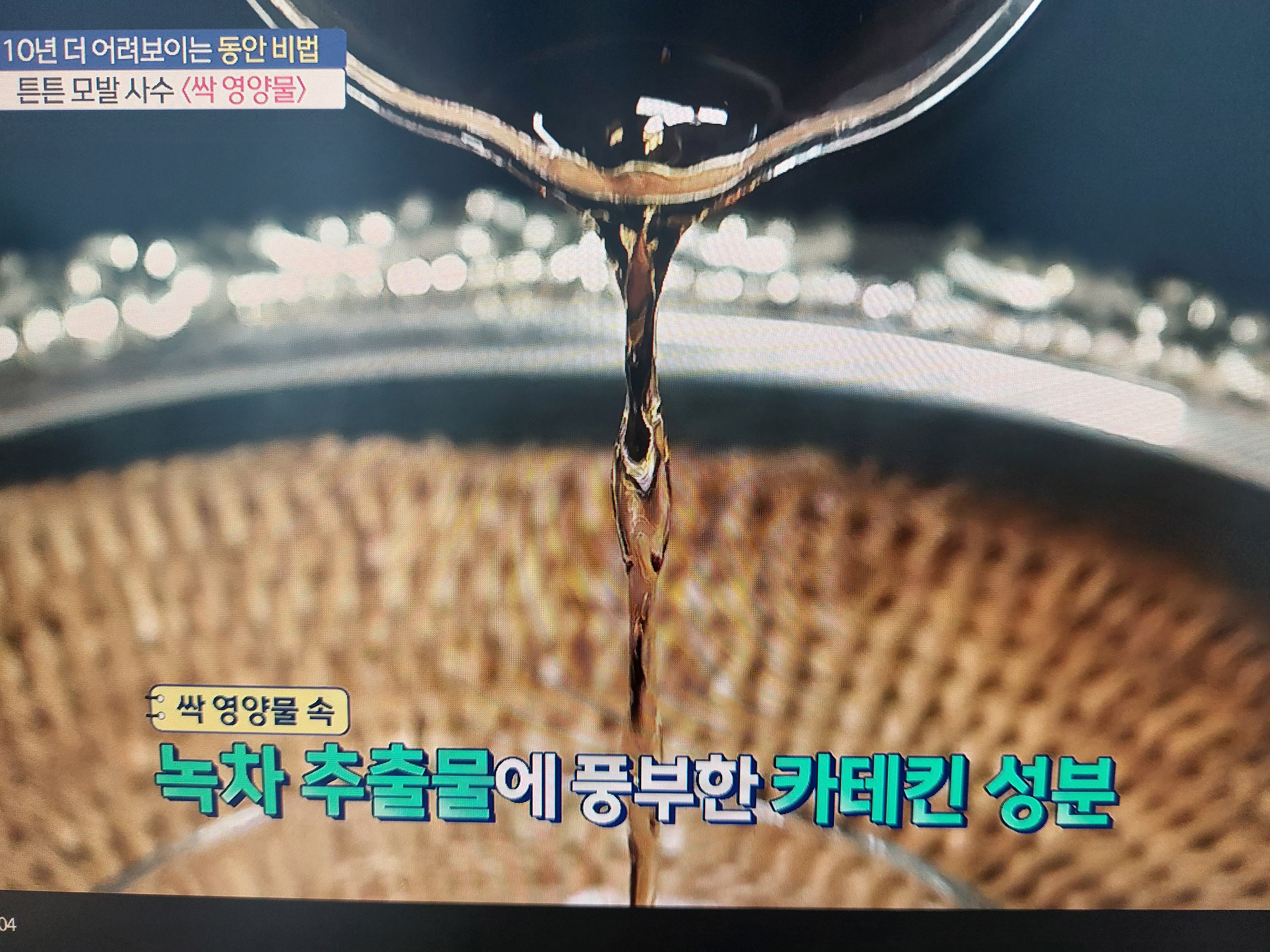 싹영양물 효능