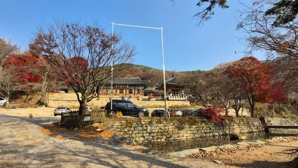 서산 개심사 : 왕벚꽃과 청벚꽃이 만개하는 마음을 여는 절 국내 유일의 초록색 벚꽃 명소