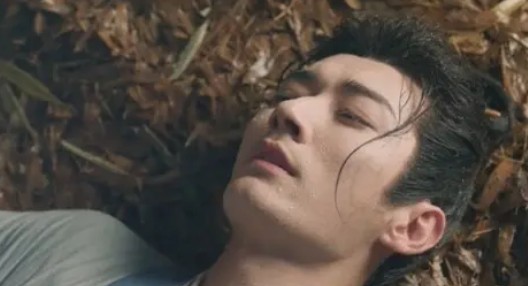 중드 도화영강산 11화 줄거리 요약