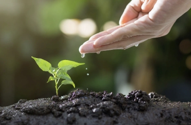 무공해 차량 혜택