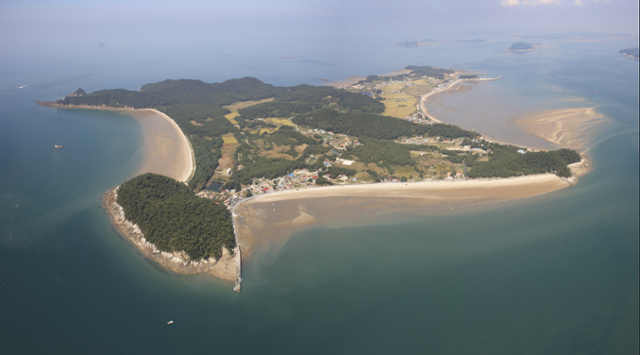 삽시도 배시간표