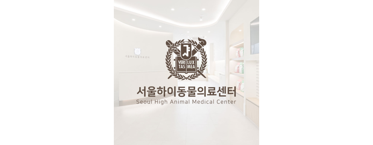 파주시 동물병원