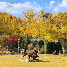 베어트리파크 단풍축제 할인&amp;#44; 맛집&amp;#44; 주차장