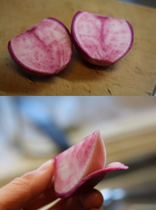 제주-복숭아순무-소담농원