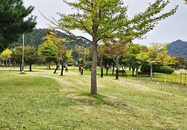 전라남도 영광 한빛파크골프장 소개