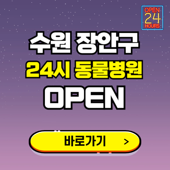 수원시 장안구 24시 동물병원 진료하는 곳 ❘ 설날 휴일 야간 심야 문여는곳 찾기 ❘ 응급진료