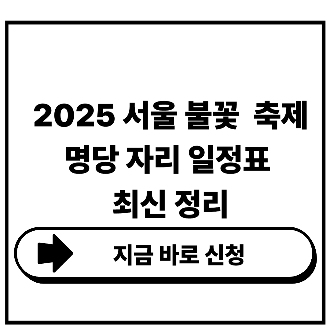 2025 서울 불꽃축제 명당 자리 시간표 핵심정리