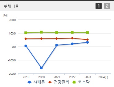샤페론 주가 부채비율 (1024)