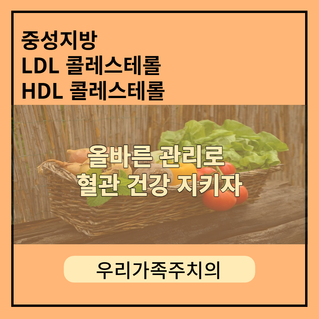 중성지방-LDL-콜레스테롤-HDL-콜레스테롤-관리법