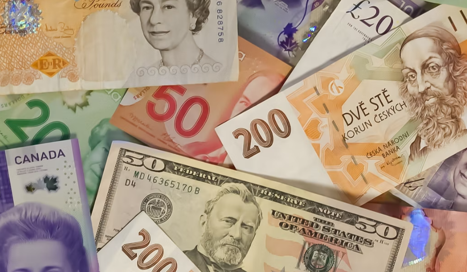 여러장의-종류별-달러-지폐