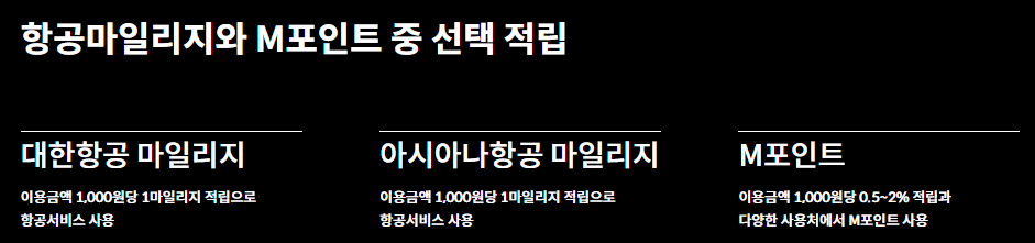 현대 블랙카드(the Black Edition 2)