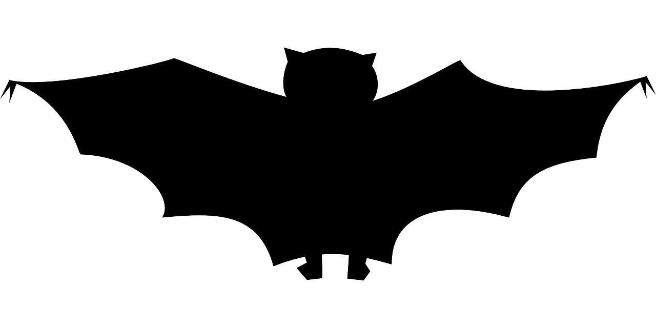 지구상에서 가장 작은 포유류: 멸종 위기 어린이박쥐의 생존 비밀