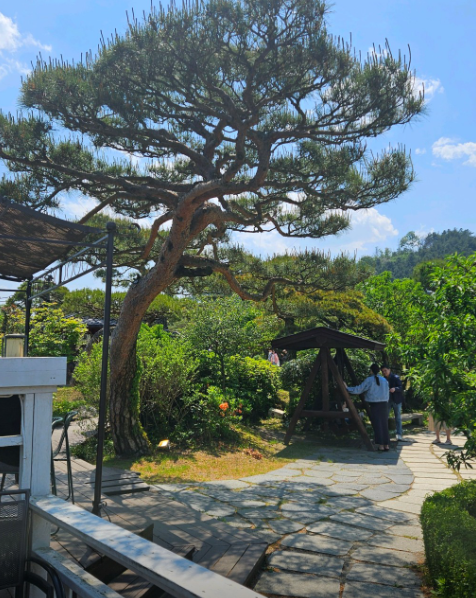 베이커리 씨어터 카페