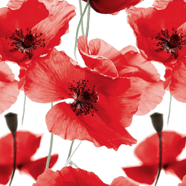 디지털 자수, 전통과 기술이 만난 인터랙티브 텍스타일의 세계