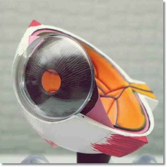 당뇨병성 망막병증, 원인 및 증상과 치료 관리