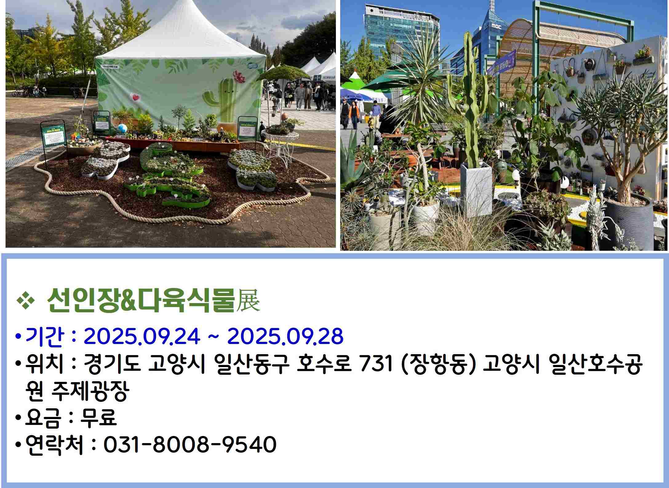 선인장다육식물展