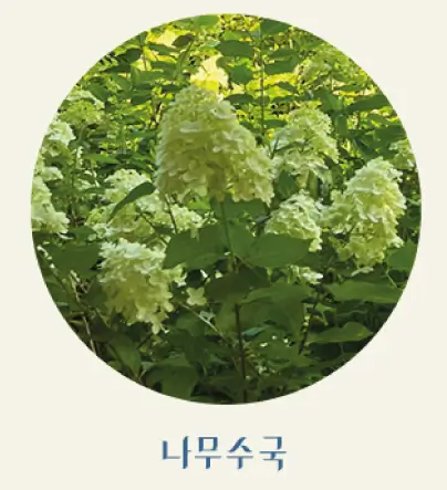 화담숲-홈페이지-예약방법