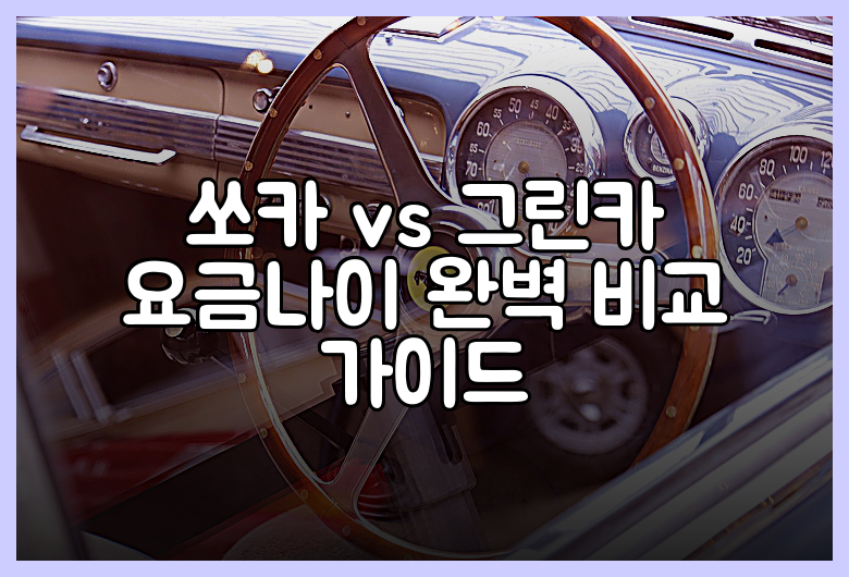 쏘카 vs 그린카 요금나이 완벽 비교 가이드