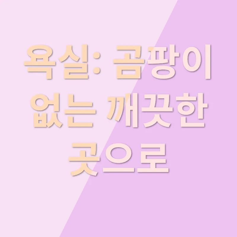 입주 청소의 모든 것_2