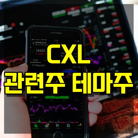 CXL 관련주 테마주