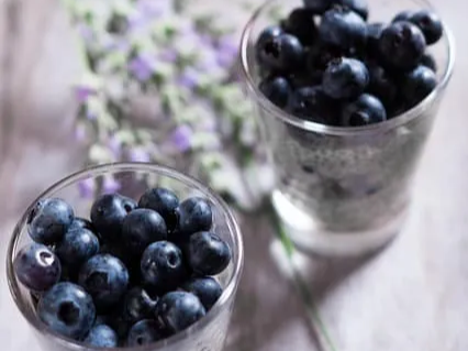 재료를 넣고 갈아서 만든 냉동 블루베리