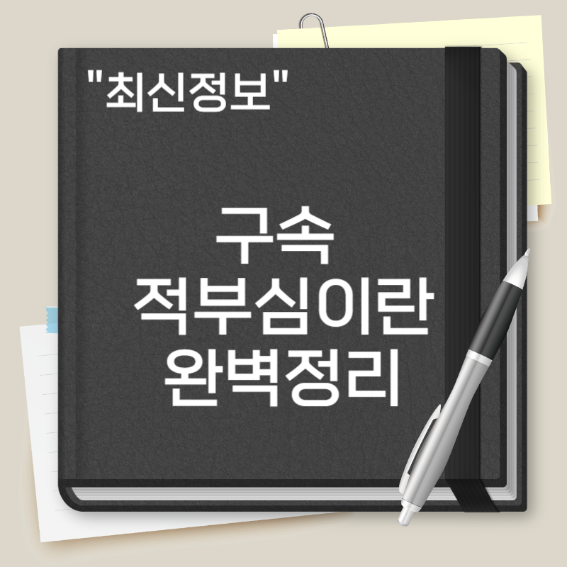 구속 적부심이란