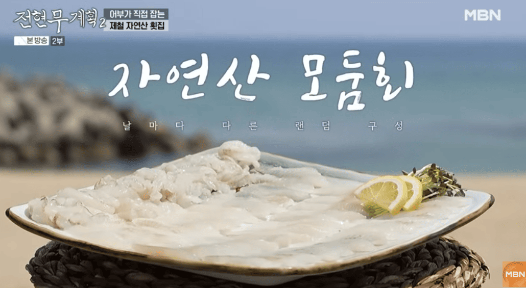 전현무계획2 동해 강릉 자연산 모듬회