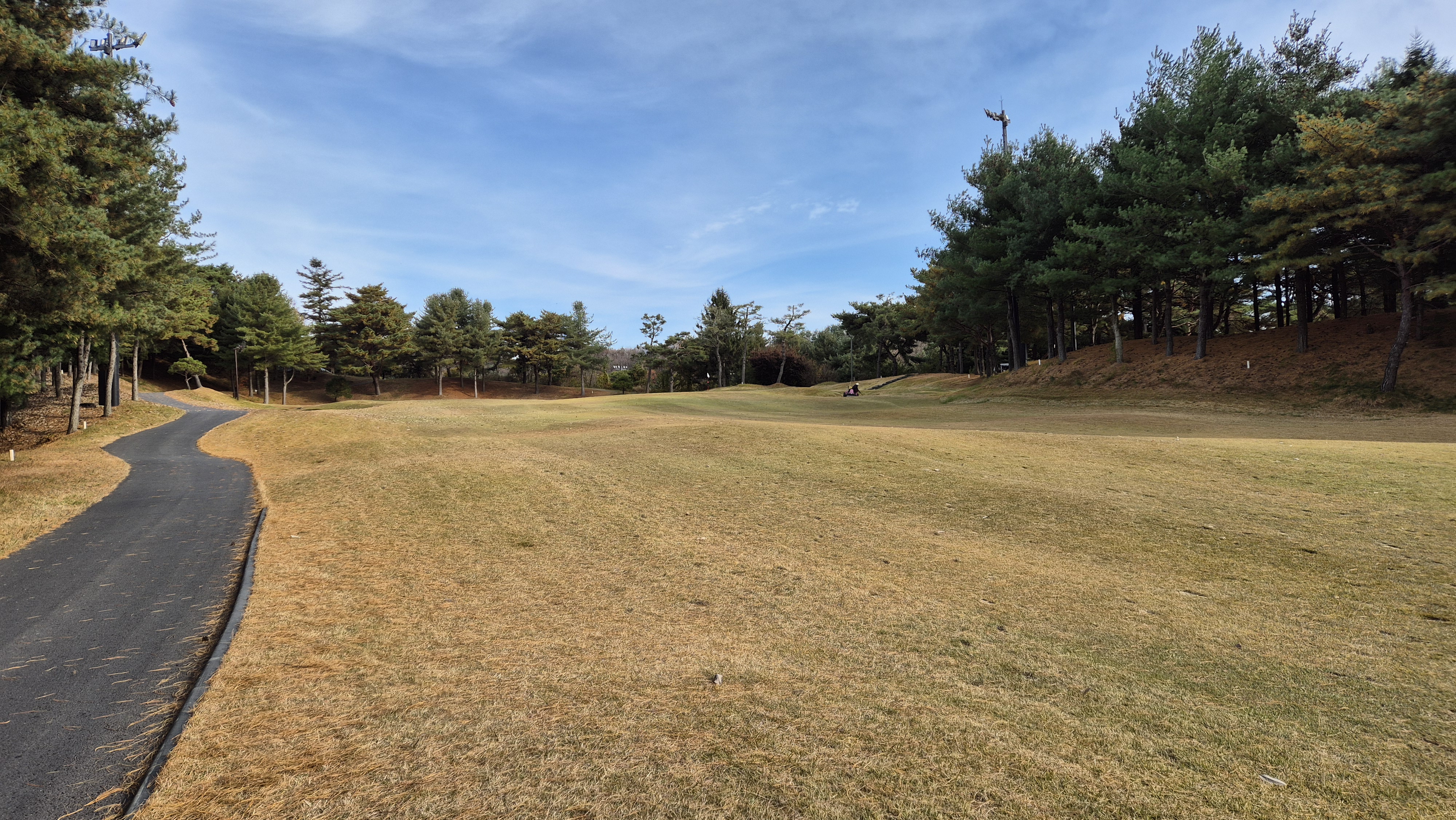 세종에머슨cc 밸리코스 사진 및 공략 정보