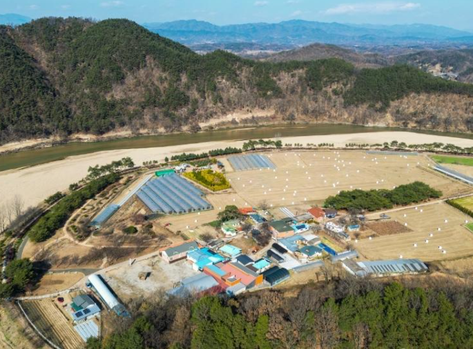 예천 회룡포 관련 사진