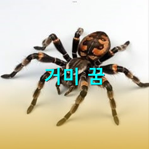 커다란-묽은-머기마-여덟개의-다리를-사방으로-뻗으며-위용을-자랑하는-모습