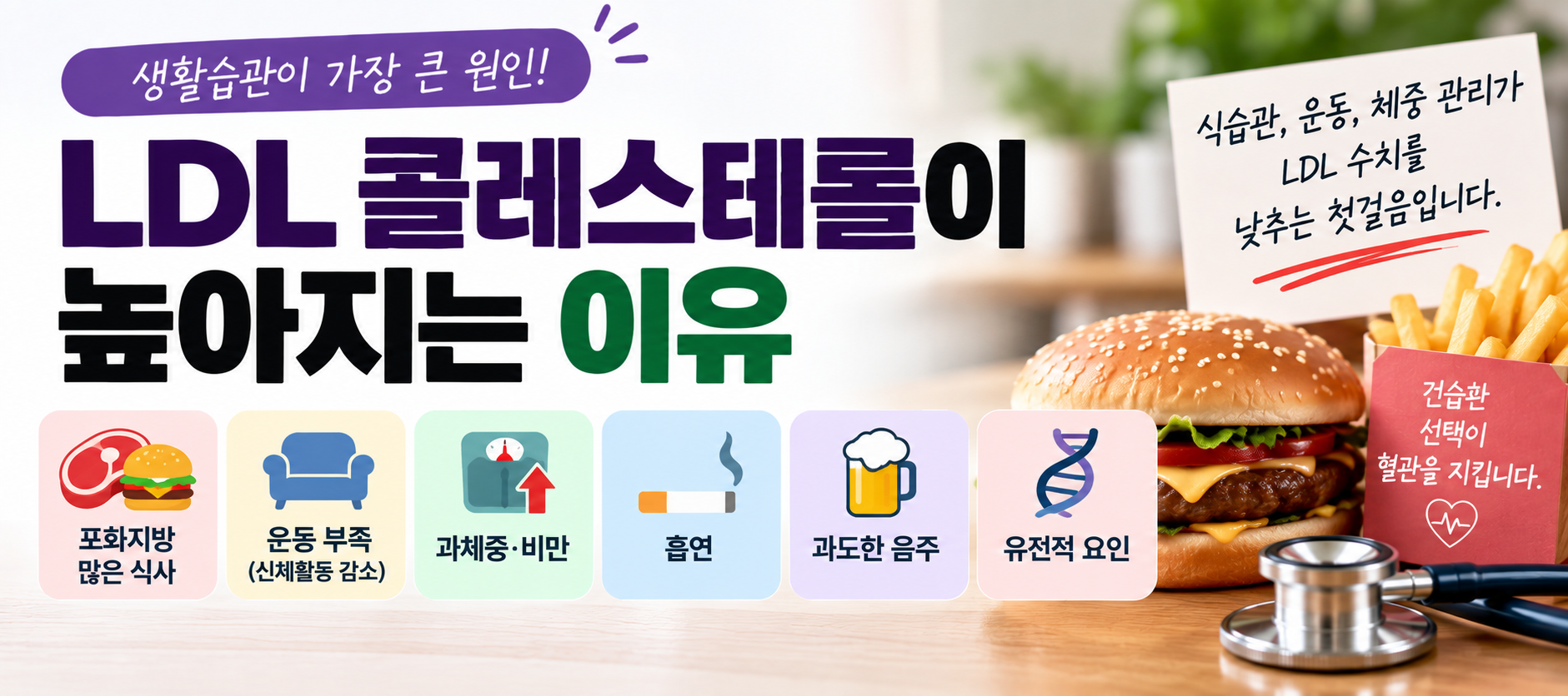 LDL 콜레스테롤이 높아지는 이유와 생활습관 원인 안내 이미지