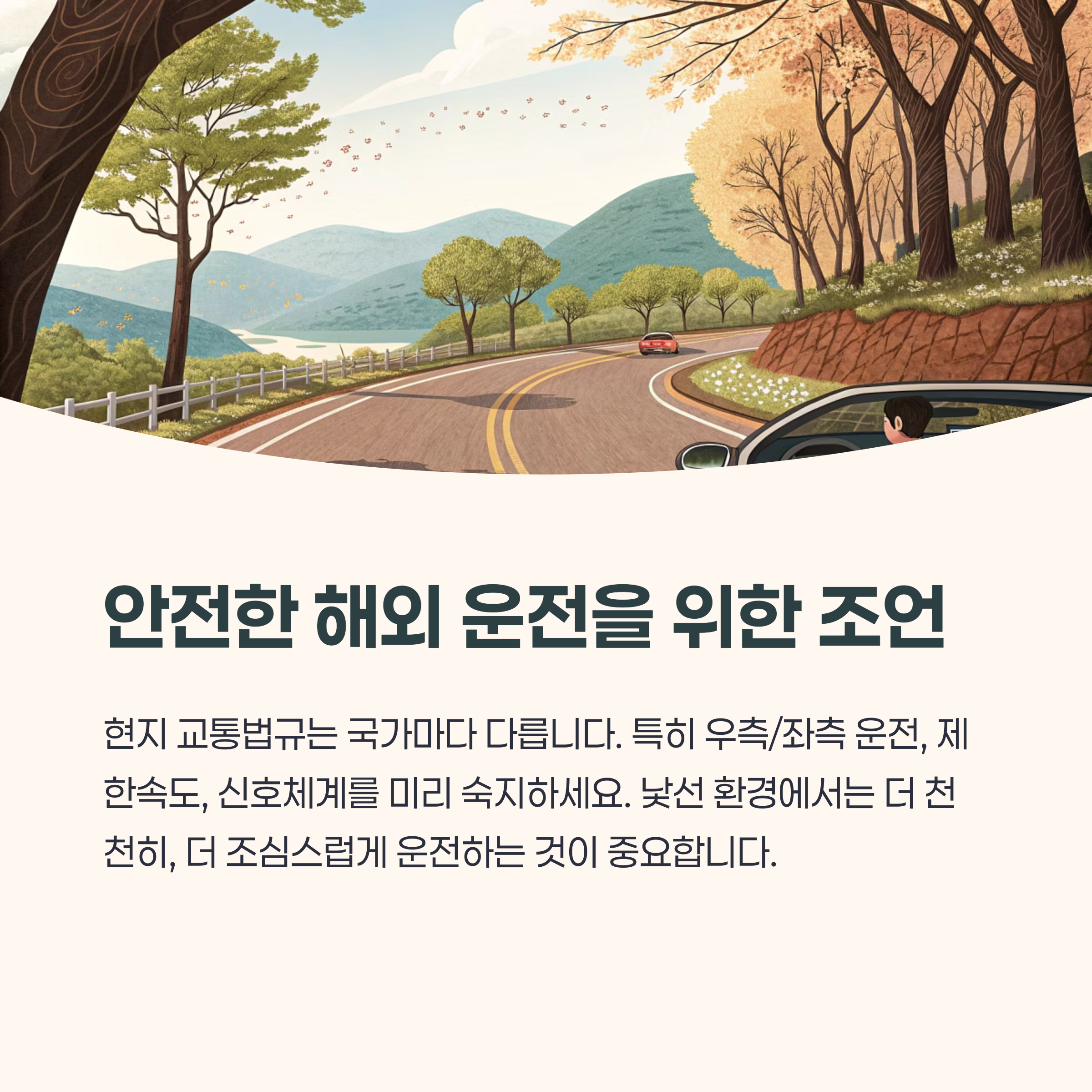 해외 도로에서 운전 중인 운전자 (차량 내부 시점)