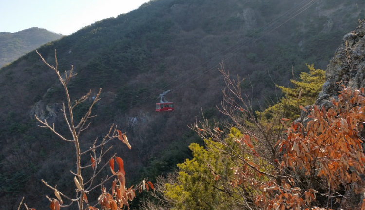 앞산 케이블카