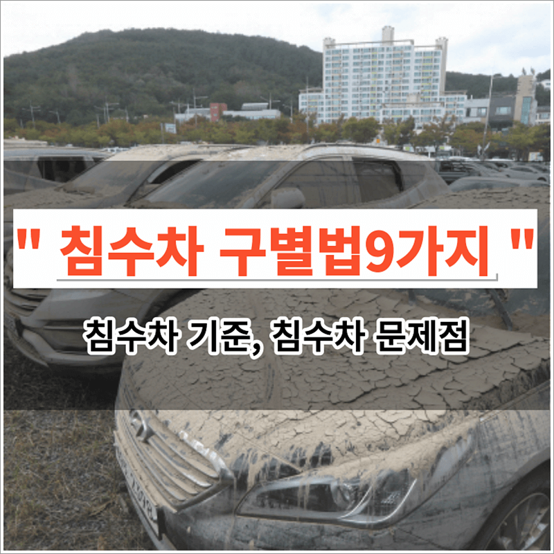 흑으로 뒤덮인 다수의 침수 차량들