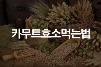 카무트 효소 부작용 효능 먹는법_15