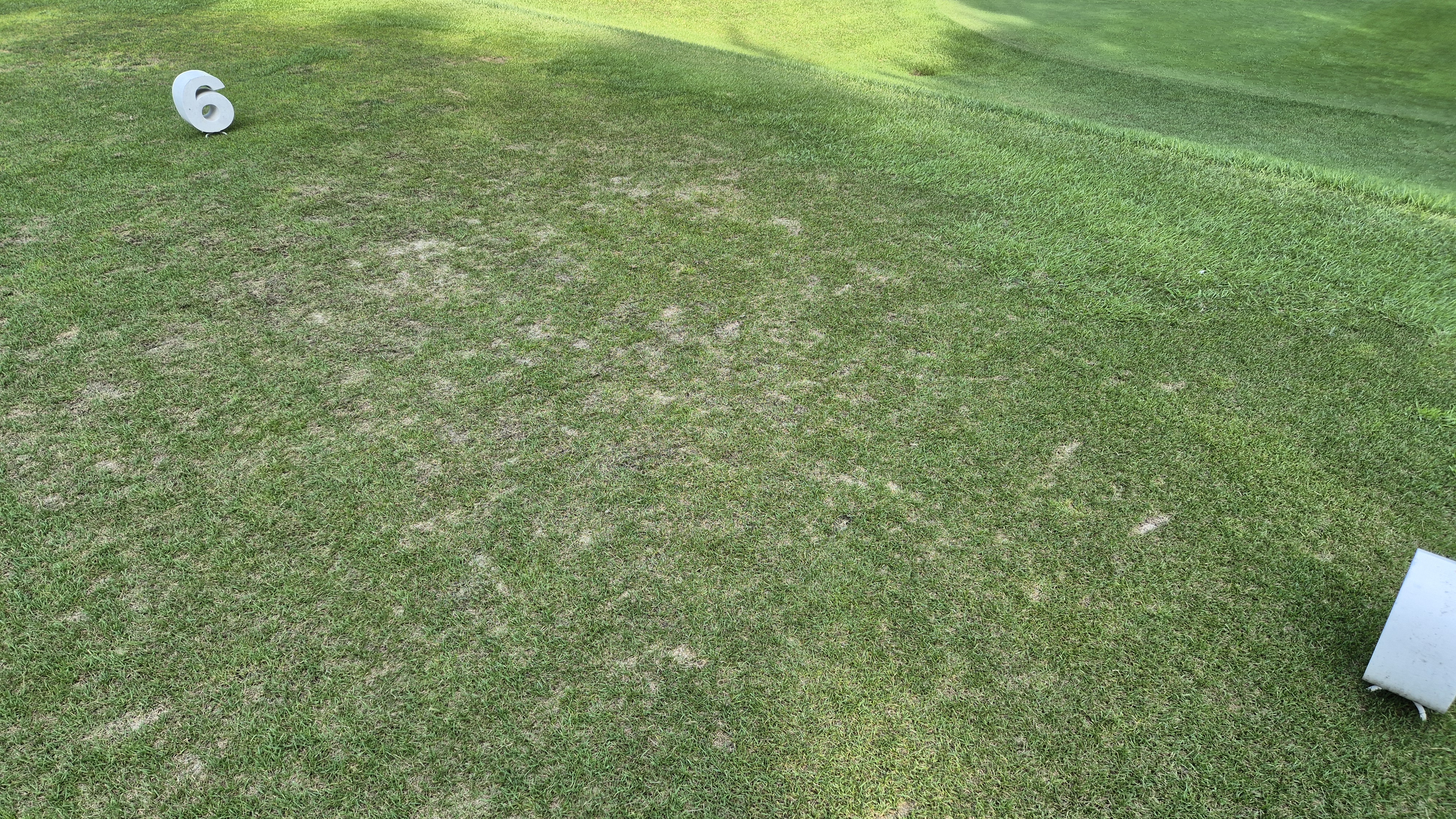 골프존카운티 화랑 라운드 후기