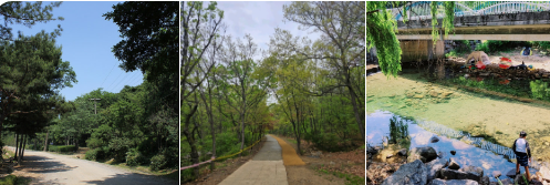 관악수목원 내 사진