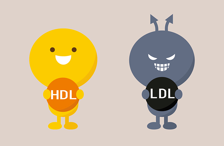 콜레스테롤-감소