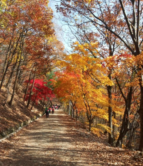 2025 가을 경상도 단풍 명소 산행 추천 ❘ 주왕산&middot;가야산&middot;팔공산 절정 시기