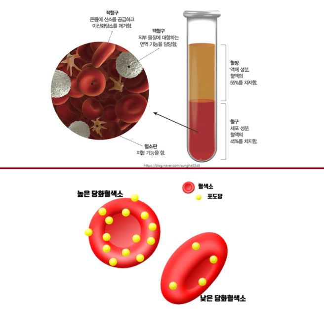 hba1c 정상수치