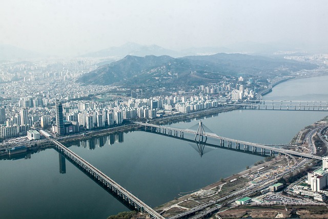 문화가 흐르는 서울광장: 2025년 행사 일정과 볼거리 총정리