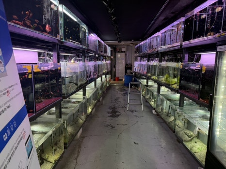 천안 신방동 팀아쿠아 물고기 구매 가능한 뒷쪽 공간